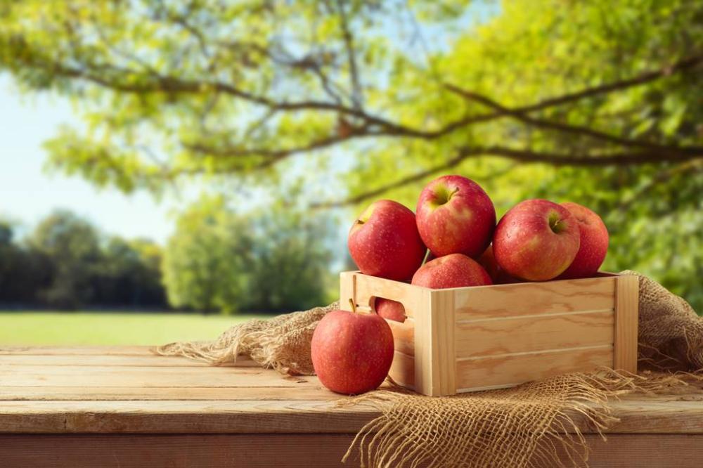 pommes-creation-primeur